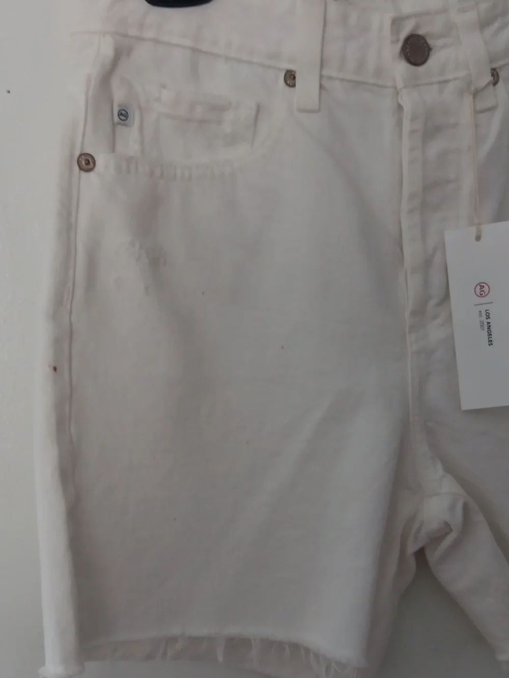 AG Adriano Goldschmied Clove High Rise Baggy Denim Shorts #3771
